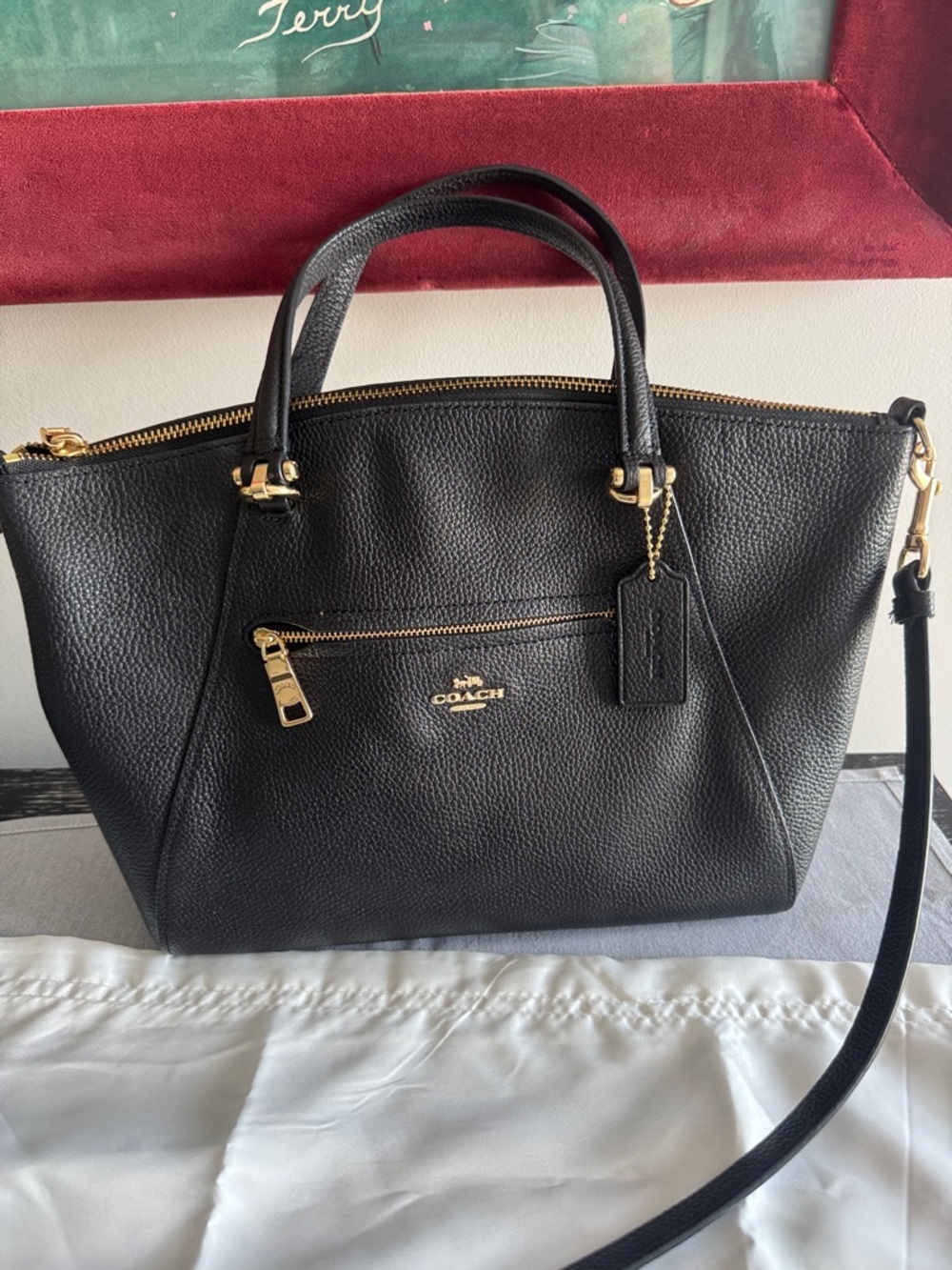 Coach purse with dust bag - Picture 2 of 15